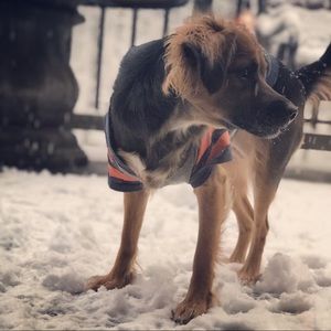 Meet your Posher, Mara